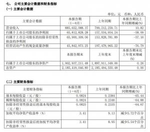 上半年公司营收同比增长近11%净利润同比下降超过58%