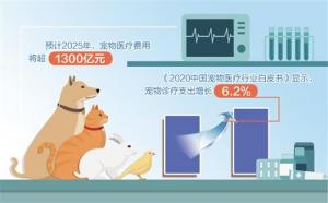 宠物医疗险为啥叫好不叫座？