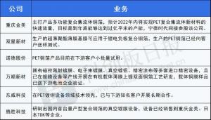 这一锂电池新材料异军突起行业迎首个规模化量产项目宁德时代也间接参股核心公