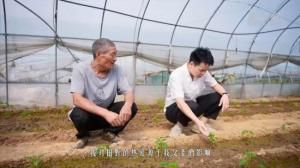 乡村行看振兴｜沈钻专的农业梦