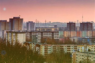 湖南衡阳黄花菜深加工产品首次出口