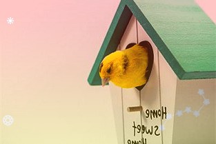 安徽每年实施亿元以上重点技改项目千项以上助企业转型升级