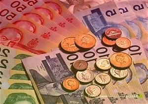 实验室搬进蜜梨果园助亩产提高约10%