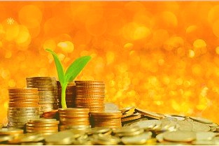 车险业务占比过半的现状不会改变因此如何让车险承保盈利成为所有财险公司的必修课