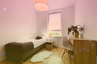 小草莓撬动乡村振兴大产业