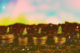 以色列卫生部：仍在考虑是否将第四针加强针推广到更广泛人群