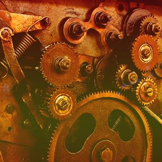 “双万”城市的人才呐喊：东莞要用三年引进300名博士