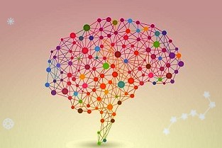 富祥药业：子公司取得项目备案证明建成达产后有利于提高公司相关产品产能